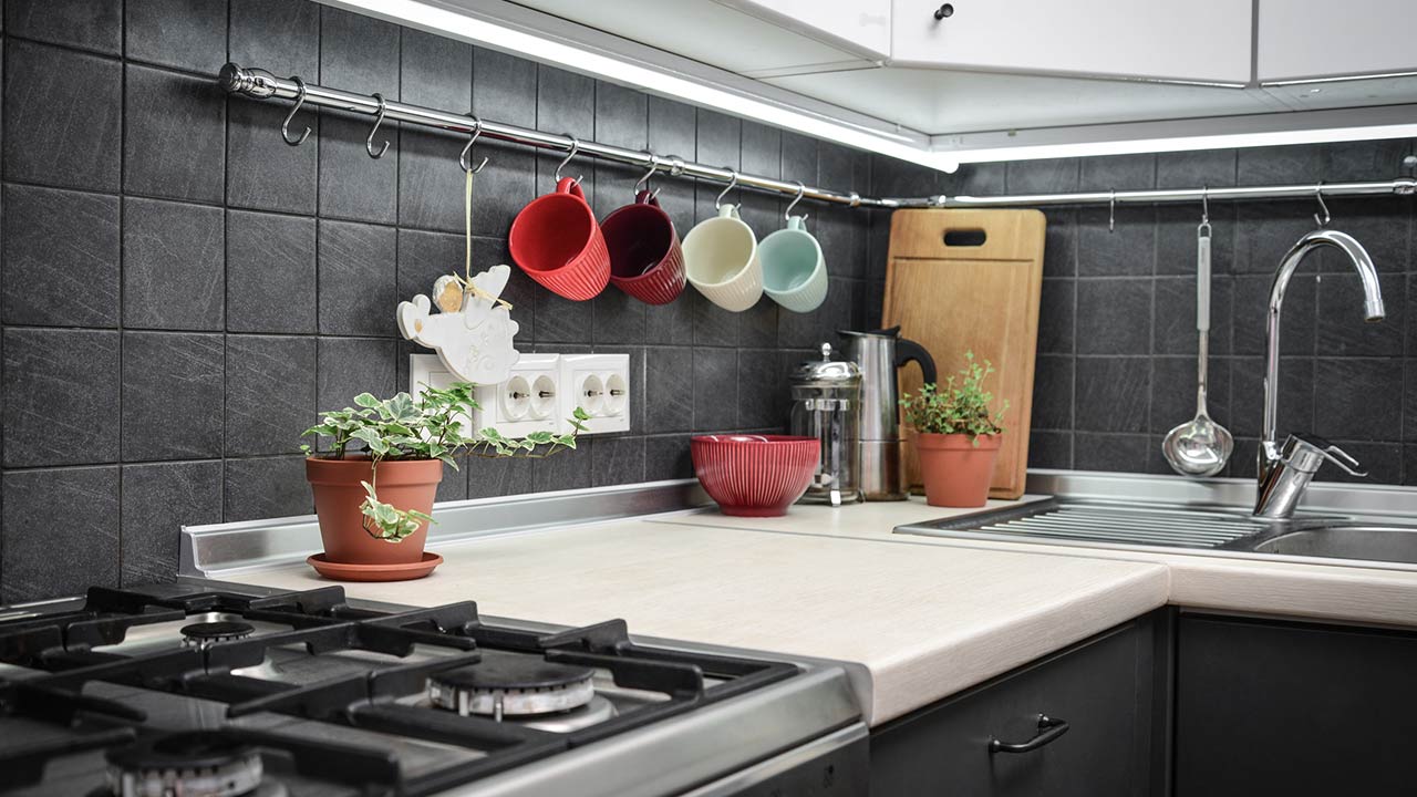 Small modern kitchen with rail system and kitchen utensils and houseplant