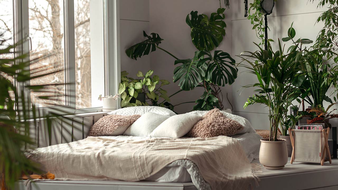 Cozy bright bedroom with indoor plants