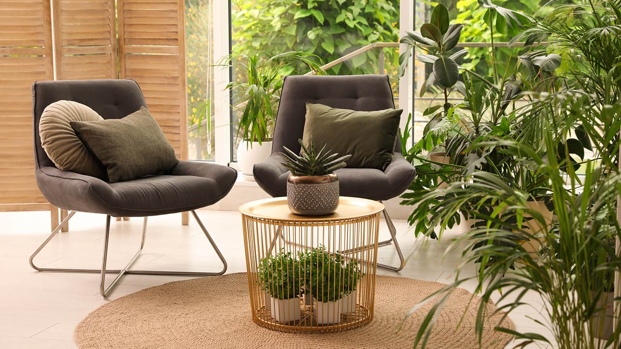 Lounge area interior with comfortable armchairs and houseplants