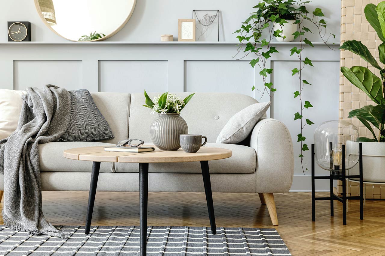 Living room interior with design grey sofa, wooden coffee table, tropical plants, shelf, mirror, furniture, plaid pillow, teapot, book and elegant personal accessories