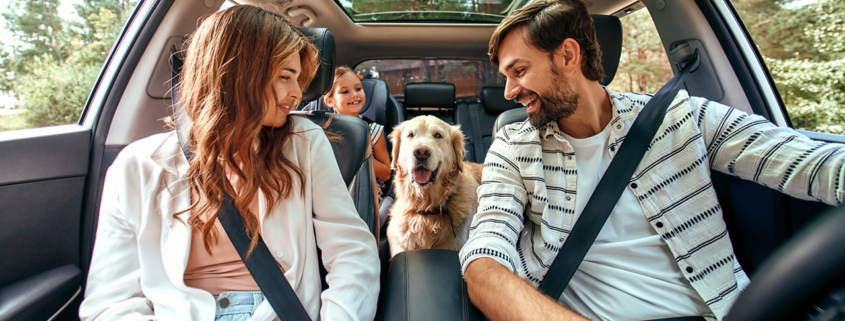 Family with dog in the car stock photo