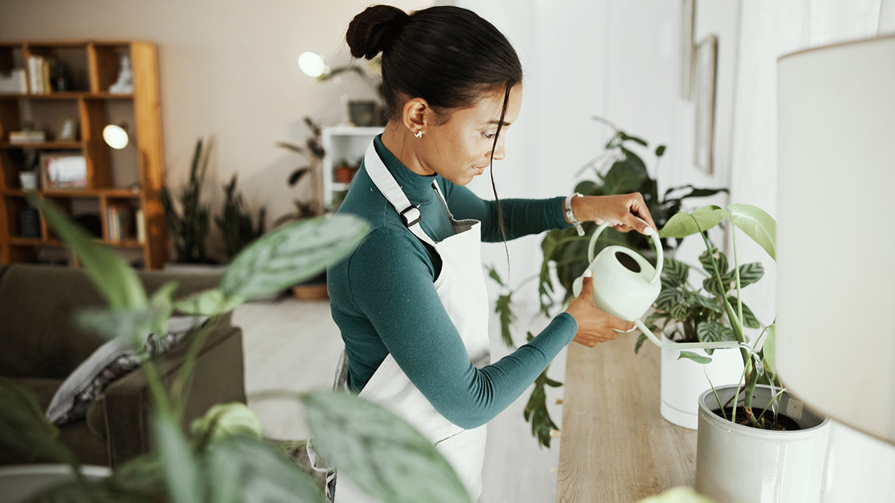 Featured image for The Hobby Home: What If Your Next House Helped You Discover a New Passion? article